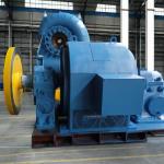 400V 800V 6.3kV 10kV Rated Voltage Stainless Steel Runner Francis Turbine