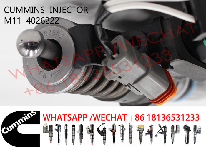 4026222 Common Rail M11 Diesel Engine Fuel Injector 4903319 4062851 3411845 3411754 3411756 3087772