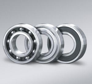 China NSK 6000z Deep groove NSK Ball Bearings GCR15 with Stainless steel wholesale