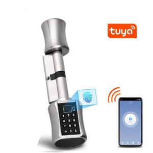 China Zinc Alloy Wireless Biometric Fingerprint Door Lock Password Smart Door Lock wholesale