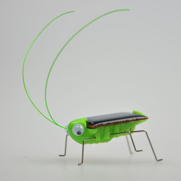 ECO Friendly Green Solar Powered Grasshopper For Kids Customized Logo