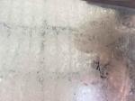 Electro Galvanized Steel Sheet , Galvanized Steel Plate Hot Dip Galvanizing