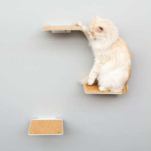 Stable Metal Wall Step Cat Stairs Create an Exciting Adventure Landscape for