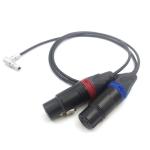 OEM ODM Arri Alexa Mini Audio Cable Lemo 5 Pin To XLR 3 Pin Female