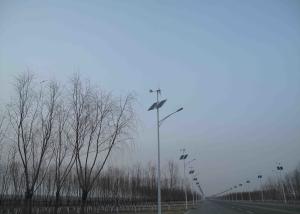 China Courtyard Lighting Solar And Wind Powered Street Lights With Single Arm wholesale