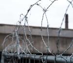 China Factory High Quality Supplier Sells Galvanized Barbed Wire Anti-Theft
