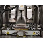 Dried Foods Fruit Chips 60 Bags / Min VFFS Packing Machine
