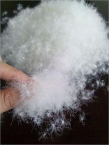 China Supply High Fill Power IDFL 80/20 White Duck Down wholesale