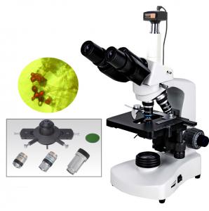 China BM117PHT with 5.0MP  best quality 5.0MP digital camera sliding phase contrast microscope for cellular biology research wholesale