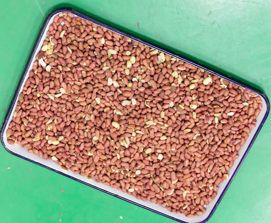 Metal Ejector Groundnut Machine , CCD Camera Peanut Color Sorter