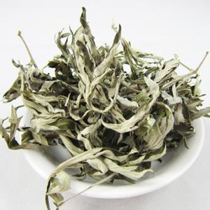China Liver protection natural herbal ingredients, Aiye Leaf P.E 10:1, Dermatitis Treatment Oncosphere, Penthorum Chinese P.E wholesale
