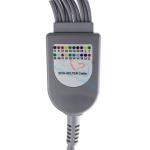 10 Leads ECG Holter Cable Snap / Clip Type ICE AHA Standard For Recorder Monitor