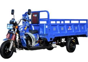 China Engine 200CC 3 Wheeler Gas Motorized Tricycle wholesale