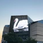 6500 Nits Fixed Outdoor Digital Display Screens Background On Building