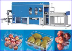 China Plastic Vacuum Thermoforming Machine For Super market Fruit and Vege containers wholesale
