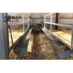 AutoCAD Designed Prefabricated Steel Structure Sheep Barn Farming Shed for