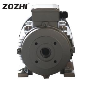China Industrial 3 Hp Electric Motor Hollow Shaft Solution For Nettoyeur Haut Pression wholesale