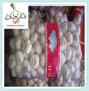 China 2016 garlic price in china Pure White Garlic alho fresh garlic exporters of fresh garlic wholesale