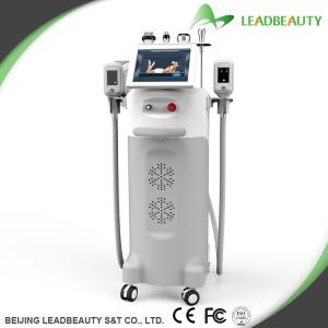 China Clinic or salon or spa using multi-functional cryolipolysis weight loss machine wholesale