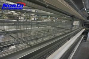 China Alibaba China Factory price Chicken farm/layer poultry cages for kenya farms/uganda poultr wholesale