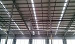 Height 12.5m Logistics Steel Structure Construction