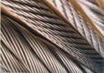 Galvanized 7x7 7x19 1x12 Steel Cable 304 316 316L Stainless Wire Rope for