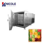 Low Temp Vacuum Drying Food Freeze Dryer Machine High Efficiency