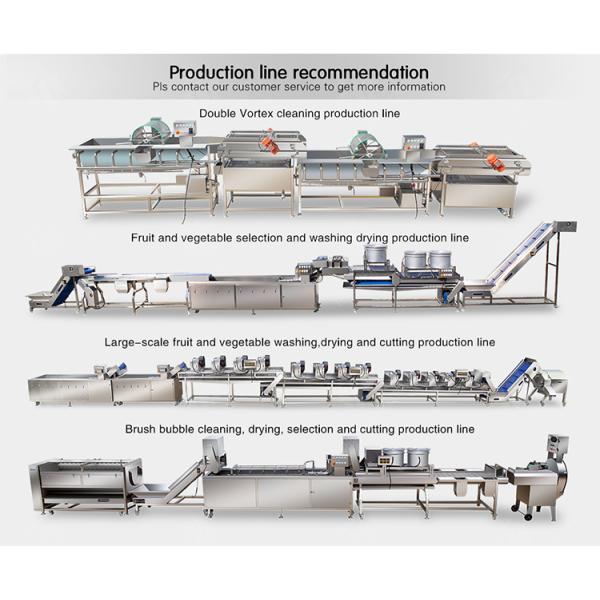 380V Fruit And Vegetable Processing Line Fully Automatic Cleaning Drying Grading