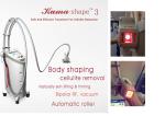 Popular Body Vacuum RF Slimming Machine Fat Freezing Machine