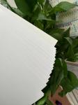 Customized Printing Hotselling Paper 210/230/250/270/300gsm FBB/GC1/C1S of