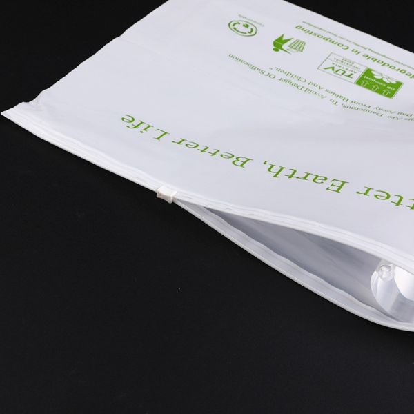 ODM Reusable Accessory Compostable Ziplock Bags Gravure Print PLA