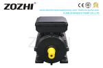 Dual Capacitor IP54 0.75kw Single Phase Electric Motor
