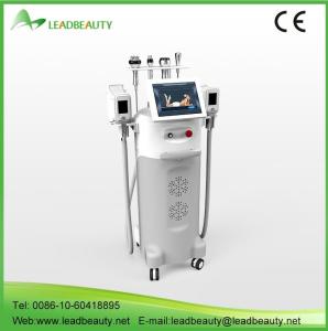 China CE approved 5 treatment handles germany 12 inch fat freezing cryolipolysis machine wholesale