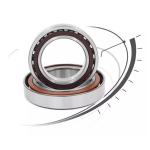 55bnr10xe; 55ber10xe Angular Contact Ball Bearings Industrial Transmissions
