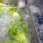 340KG Multi-functional vegetable washing machine large vegetable washing machine
