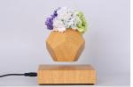 360 rotating wooden base magnetic levitaiton air bonsai plant tree