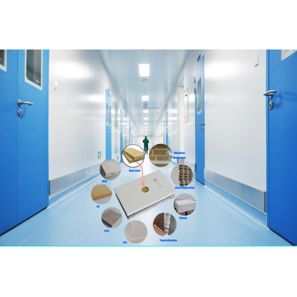Customized Cleanroom Wall Panels Construction Cleanroom Wall Systems 50mm 75mm