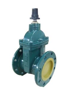 China (BS) Cast Iron Resilient Gate Valve nor-rising stem Flanged Ends wholesale
