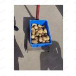 Factory Price Fresh Ginger Washing Machine Potato Peeler Machine tumeric peeling