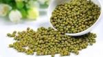 Dried Natural Green Mung Bean Agricultural Products
