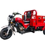 Red DAYANG 2021 Heavy Loading Truck Tricycle 150CC/175CC/200CC/250CC Motorized