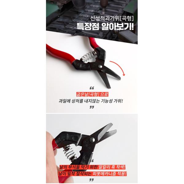 Carbon Steel Blade Long Handled Pruning Shears Ultra Sharp Garden