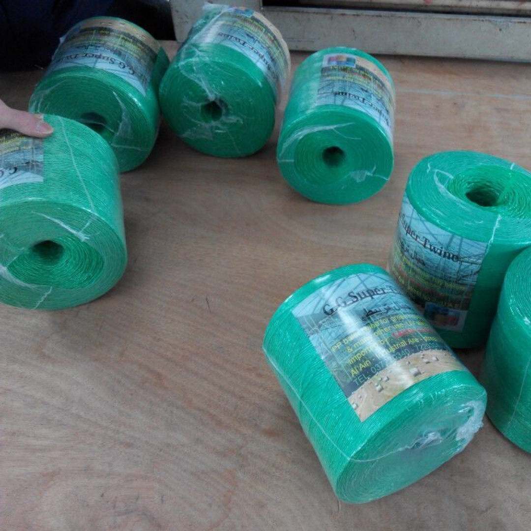 6000D 1mm White Blue Tomato Twine For Tying And Protect Stems Or Leaves
