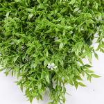 Waterproof Artificial Bush Wall Room Decorative Plastic Plants For Home