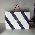 Ribbon Handle Apparel Paper Bag