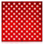 45W LED Red Light Therapy Panel Infrared 850nm Combo For Skin Tightening
