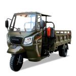 Cargo tricycle with 200/250/300cc engine in Sri Lanka and Hong Kong at