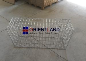 China 50×100mm Welded Galvanized Gabion Baskets Garden Border Walls Rectangular Hole wholesale