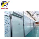 cold storage room cold room panels polyurethane,fish storage cold room,cold room