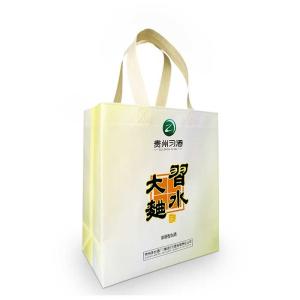 China PP 85Gsm Non Woven Eco Bag Handle With Heat Transfer Printing wholesale
